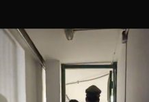 Rápido actuar de Carabineros evitó un posible femicidio en Tierra Amarilla