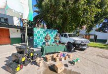 En Copiapó: SEBV ATACAMA DETUVO A TRES HOMBRES POR ROBO DE ESPECIES Y RECUPERÓ CARGAMENTO SUSTRAÍDO