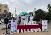 VALLENAR SE SUMA AL LLAMADO: COMUNIDAD MUESTRA GRAN INTERÉS POR CONVERTIRSE EN FAMILIA DE ACOGIDA