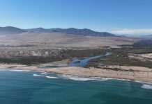 SEREMI del Medio Ambiente inicia proceso de actualización de Guía de Delimitación y Caracterización de Humedales Urbanos