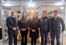 Copiapó: Inauguran nueva tienda de emprendedora en el centro comercial Plaza Real.