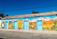 Kabán Rojas impulsa talleres de arte en Domeyko y proyecta un Museo a Cielo Abierto