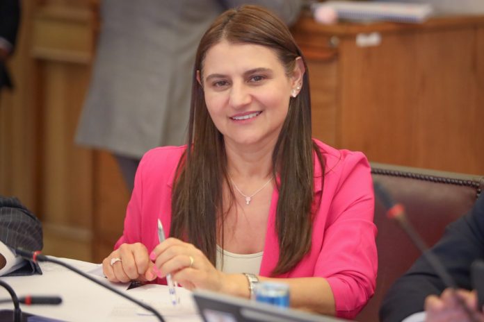 diputada-sofia-cid-migracion-ilegal