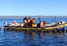 Pescadores y acuicultores artesanales afectados por sistemas frontales del último mes ya pueden postular a fondo de reactivación económica de INDESPA