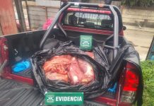En Freirina: Carabineros detuvo hombre por funcionamiento de matadero clandestino