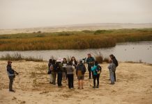 SEREMI del Medio Ambiente lanza campaña “100 Años – 100 Acciones por la Naturaleza” para promover el cuidado ambiental ciudadano en Atacama.