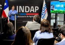 Apoyo integral a agricultores según su trayectoria y territorio anunció INDAP en su Cuenta Pública