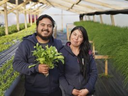 INDAP y Agroseguros lanzan campaña y estrenan espacio web para proteger el trabajo de la Agricultura Familiar Campesina