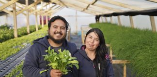 INDAP y Agroseguros lanzan campaña y estrenan espacio web para proteger el trabajo de la Agricultura Familiar Campesina