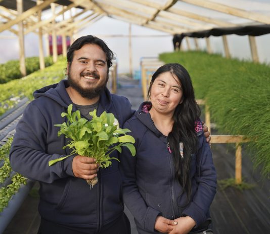 INDAP y Agroseguros lanzan campaña y estrenan espacio web para proteger el trabajo de la Agricultura Familiar Campesina