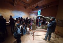 PALEOFEST: una imperdible cita en torno a los dinosaurios y criaturas prehistóricas de Atacama