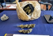 PDI ATACAMA DETUVO A DOS EXTRANJEROS POR INFRACCIÓN A LA LEY DE DROGAS INCAUTANDO CANNABIS Y KETAMINA