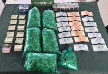 En Copiapó: Carabineros detuvo a extranjero e incautó hojas de coca y cigarrillos de contrabando