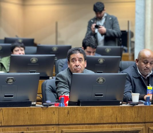 Gobernador Miguel Vargas plantea en Comisión de Minería del Senado apoyos concretos para reactivar la pequeña minería de Atacama