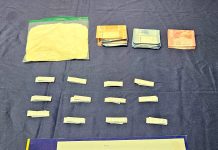 PDI ATACAMA DETUVO A DOS EXTRANJEROS E INCAUTÓ MÁS DE 800 DOSIS DE DROGA EN TIERRA AMARILLA