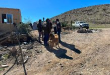 Carabineros del SEBV Atacama ubicó cuatro personas que permanecían aisladas en sector precordillerano de Vallenar