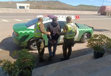 Carabineros detuvo a conductor de camión por manejar sin la licencia profesional correspondiente en la Ruta 5 Norte