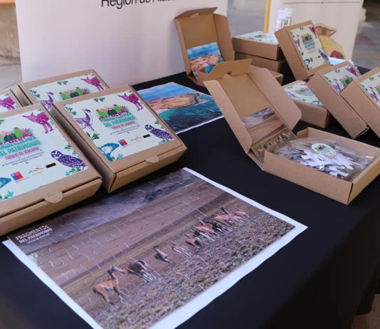 Fondos Cultura 2027 marcan un nuevo impulso para la creación y el desarrollo cultural en el país y Atacama
