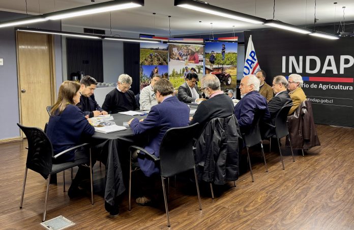 reunion-indap-paises-reaf-mercosur-5