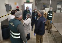 Agricultura y Salud realizan fiscalización conjunta a carnicerías en fiestas patrias
