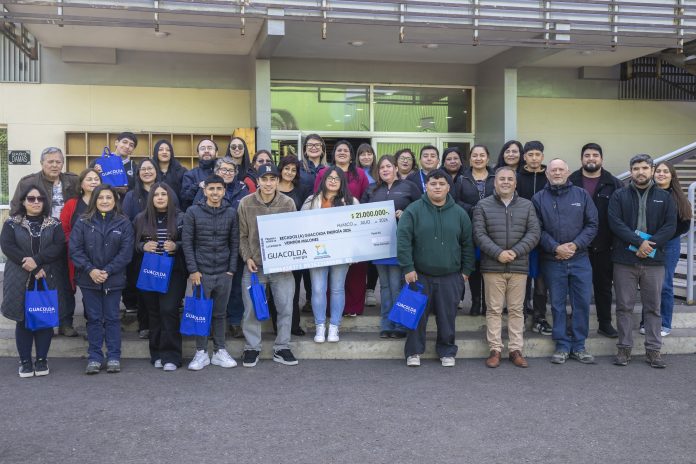 Beca Guacolda 2026.