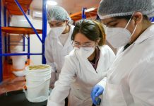 Control biológico de plagas y formación de futuros técnicos agrícolas