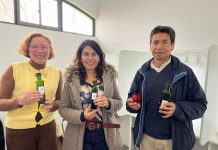 Aceites de oliva del Valle del Huasco son sometidos a evaluación sensorial para respaldar su calidad y Denominación de Origen