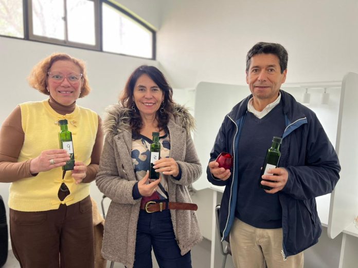 Cata de aceites