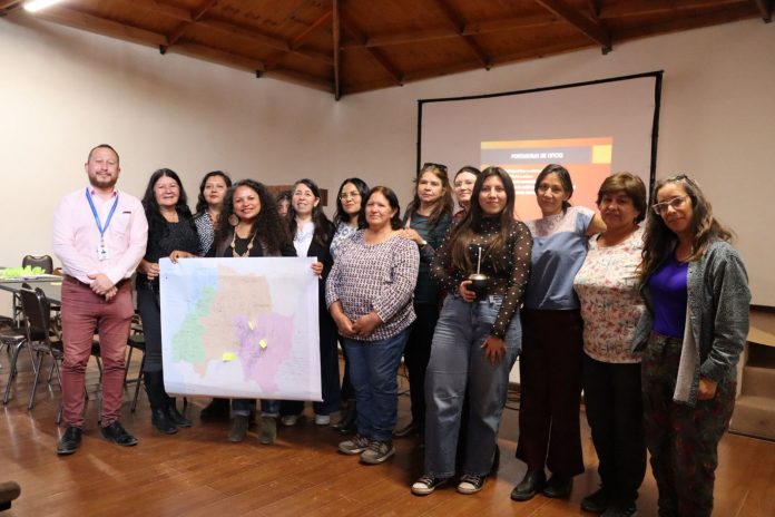 Encuentro FEM Atacama quinta versión (9)