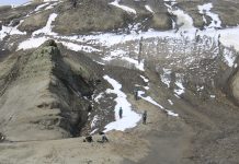 Plantas fósiles en Chile aportan claves para entender el brutal colapso ecológico del fin del Cretácico