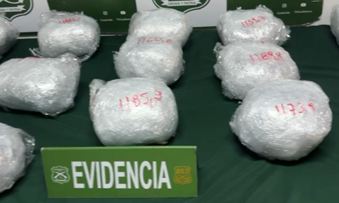 CARABINEROS CON APOYO DEL CAN DETECTOR DE DROGAS SORPRENDEN A MUJER CON MÁS DE 17 KILOS DE MARIHUANA