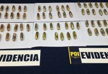 PDI ATACAMA INCAUTÓ MÁS DE UN KILO DE COCAÍNA BASE EN MODALIDAD DE OVOIDES