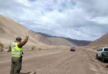 CARABINEROS REFUERZA CONTROLES PREVENTIVOS EN QUEBRADA SAN ANDRÉS PARA PROTEGER LA FAUNA Y EL MEDIO AMBIENTE