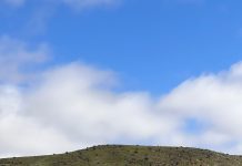 MOP INFORMA CUATRO RUTAS HABILITADAS PARA VISITAR EL DESIERTO FLORIDO CON SEGURIDAD