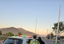 CARABINEROS Y SAG REALIZAN SERVICIO CONJUNTO DE FISCALIZACIÓN EN RUTA 5 NORTE