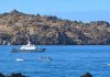 Continúa búsqueda de pescador desaparecido en Caleta Chañaral de Aceituno