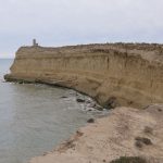 Estudio sobre la dieta de foca fósil de nueve millones de años aporta nuevas claves sobre su evolución