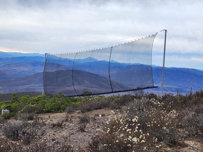 CNR invita a agricultores y organizaciones de Atacama y Coquimbo a postular proyectos basados en la naturaleza