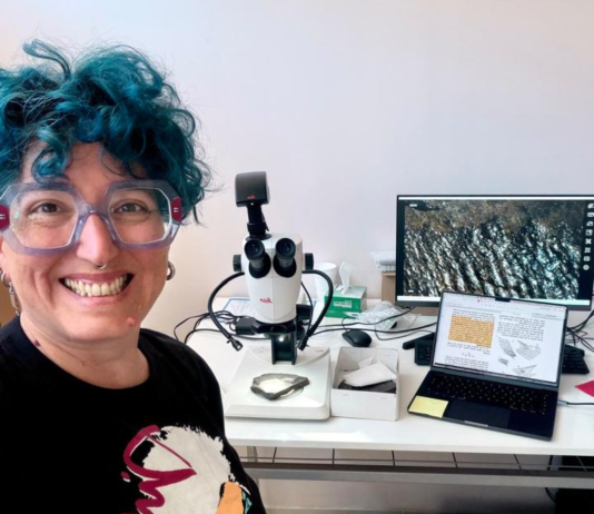 Paleontóloga argentina estudia fósiles de peces del Triásico hallados en la Región de Atacama