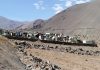 Alto del Carmen conmemorará el Día de Todos los Fieles Difuntos con misas en distintos sectores de la comuna