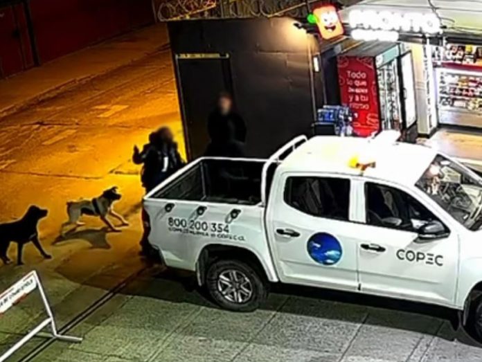 Copiapó: Fiscalía obtuvo prisión preventiva de imputado por homicidio tentado y delitos de la Ley de Armas