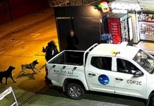 Copiapó: Fiscalía solicitó ampliar detención de imputados por grave agresión con arma blanca