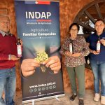 Familia campesina transforma el Desierto Florido en identidad de marca para sus aceites de oliva.