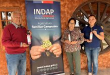 Familia campesina transforma el Desierto Florido en identidad de marca para sus aceites de oliva.