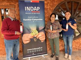 Familia campesina transforma el Desierto Florido en identidad de marca para sus aceites de oliva.