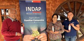 Familia campesina transforma el Desierto Florido en identidad de marca para sus aceites de oliva.