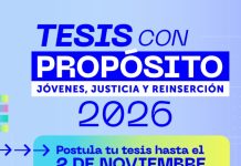 Reinserción Social Juvenil amplía plazo para postular a Concurso Nacional de Tesis