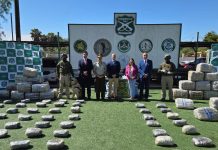 Vallenar: Fiscalía obtuvo prisión preventiva de imputado por tráfico de 1.749 kilos de marihuana