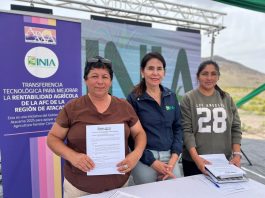 INIA Intihuasi fortalece la producción hidropónica con entrega de invernaderos a agricultores de Atacama