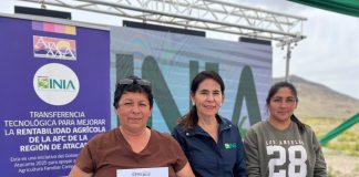 INIA Intihuasi fortalece la producción hidropónica con entrega de invernaderos a agricultores de Atacama